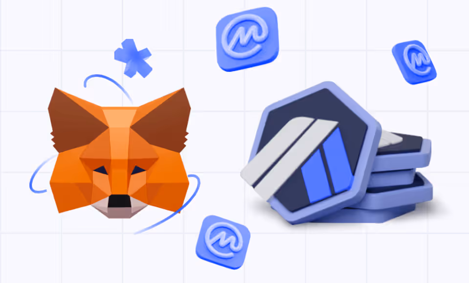 Adding Arbitrum and Other Tokens to MetaMask