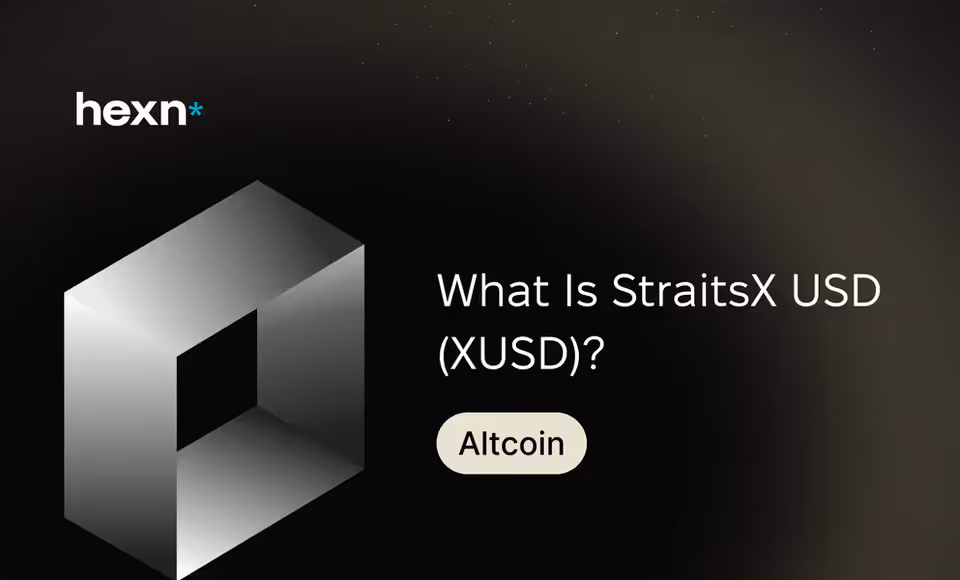 What Is StraitsX USD (XUSD)?