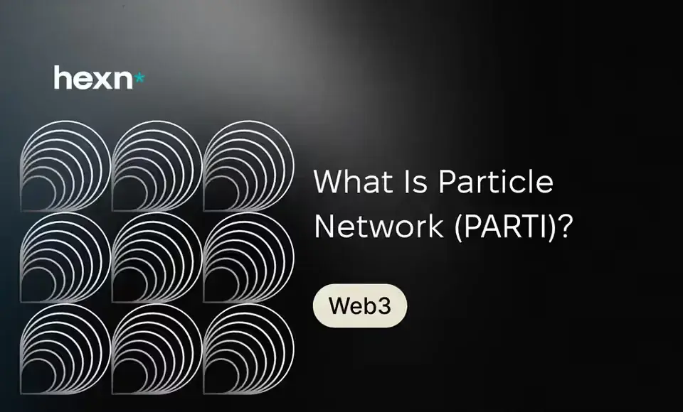 What Is Particle Network (PARTI)?
