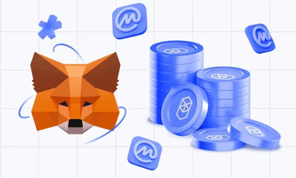 Adding Fantom and Other Tokens to MetaMask